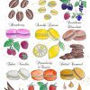 Beautiful, colourful illustration of French macaron and cake ingredients