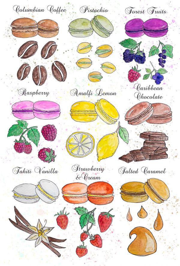 Beautiful, colourful illustration of French macaron and cake ingredients