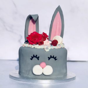 Novelty cakes